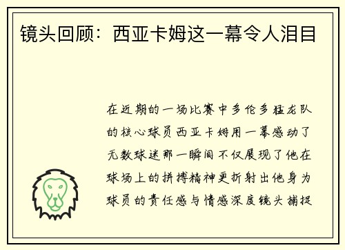 镜头回顾：西亚卡姆这一幕令人泪目
